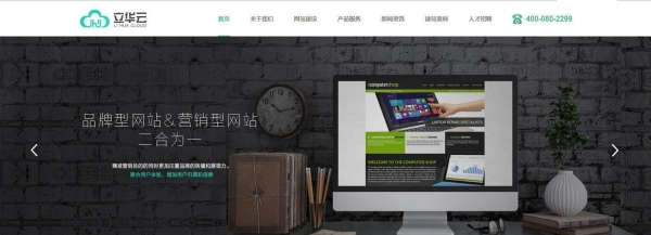 定制型网站与模板型网站深度解析 如何选择最适合您的建站方案？